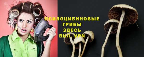 гидропоника Тында