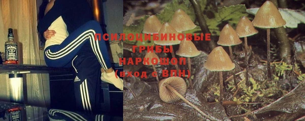 mdma Новодвинск