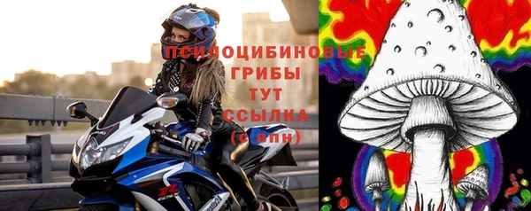 твердый Новокубанск
