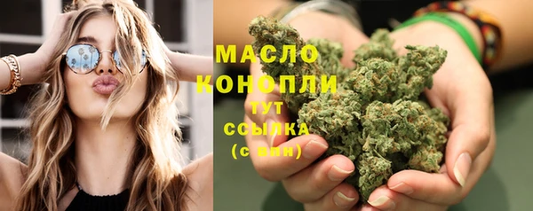 МДПВ Бородино