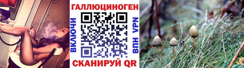Псилоцибиновые грибы Magic Shrooms  Сим 